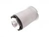втулка Подвески Suspension Bushing:242 351 03 00