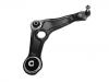 Control Arm:54 50 493 27R