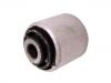 Suspension Bushing Suspension Bushing:8E0 505 279 G